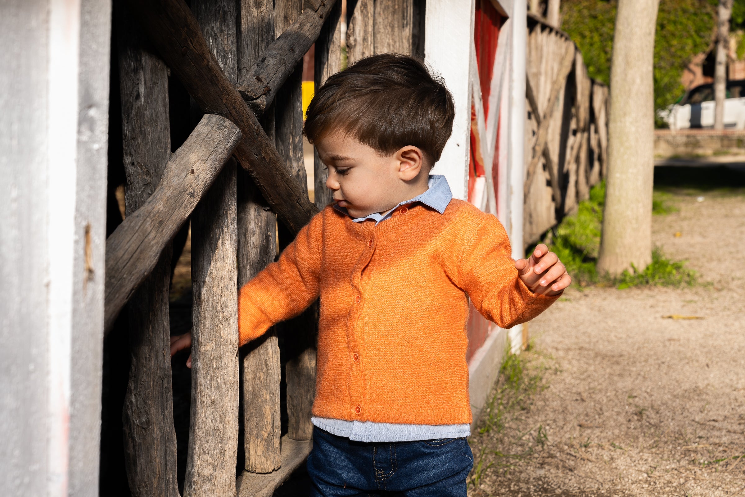 Cardigan basic con bottoncini Arancio