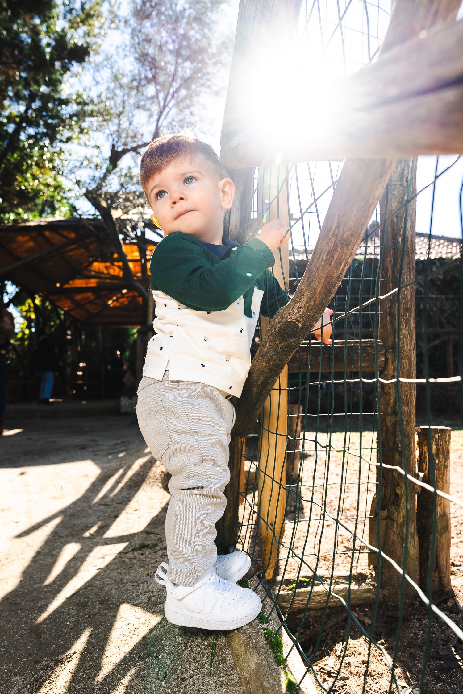 Set Cardigan zip+Polo orsetto Verde